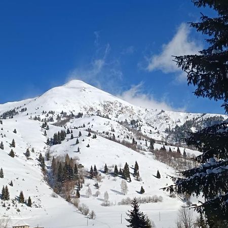 Pinetrees Lodge Πλαβ Εξωτερικό φωτογραφία