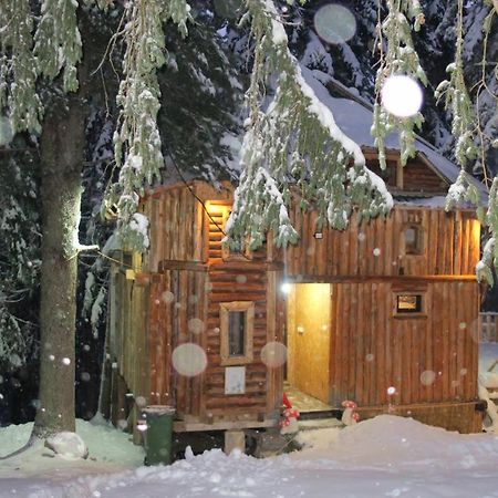Pinetrees Lodge Πλαβ Εξωτερικό φωτογραφία