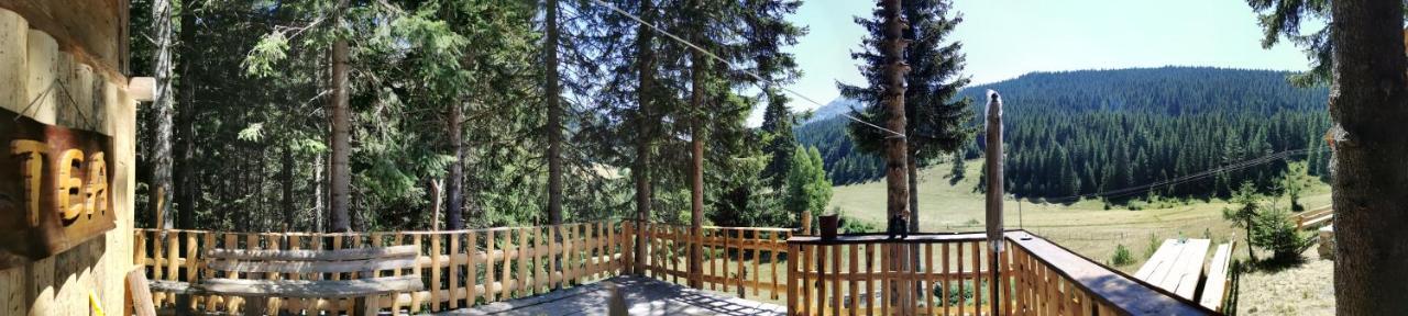 Pinetrees Lodge Πλαβ Εξωτερικό φωτογραφία