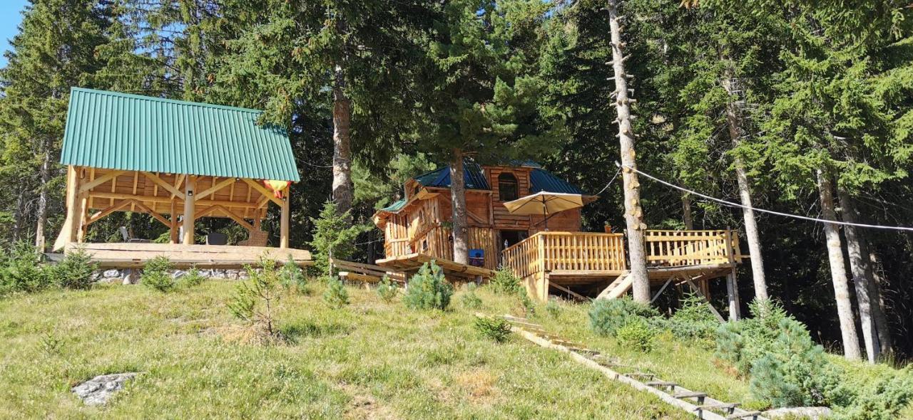 Pinetrees Lodge Πλαβ Εξωτερικό φωτογραφία