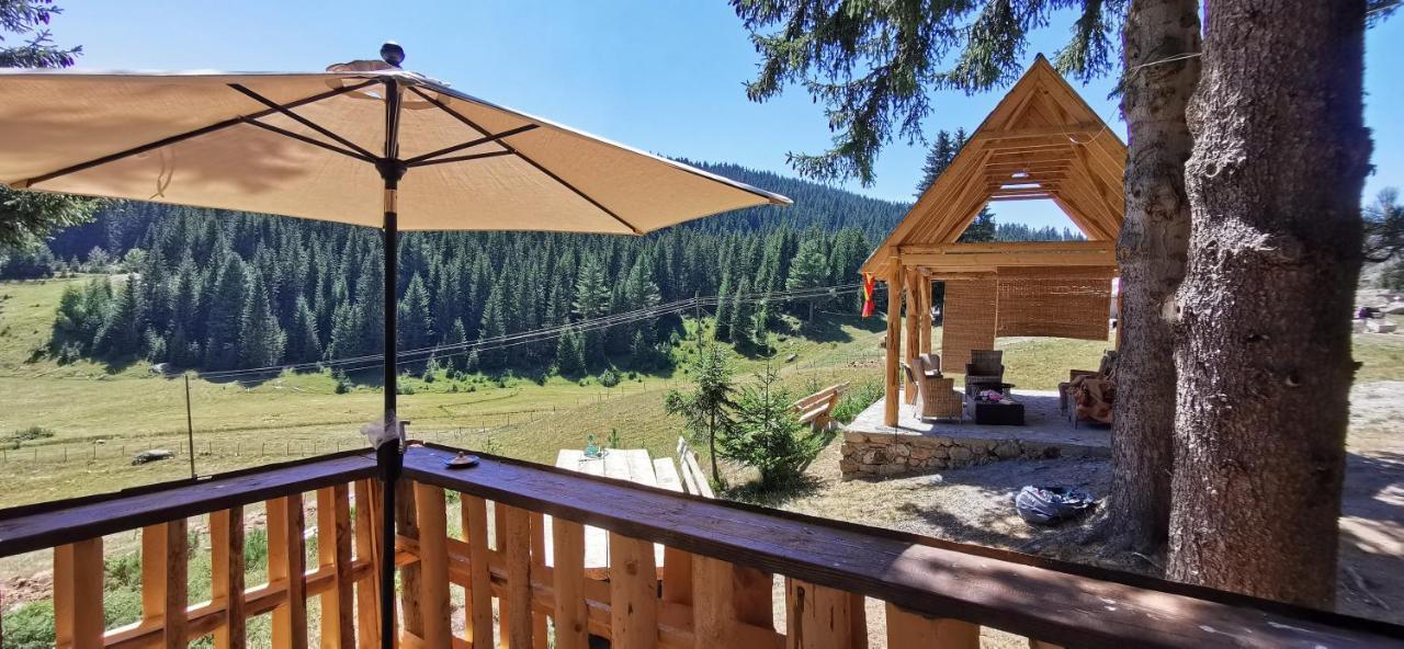 Pinetrees Lodge Πλαβ Εξωτερικό φωτογραφία