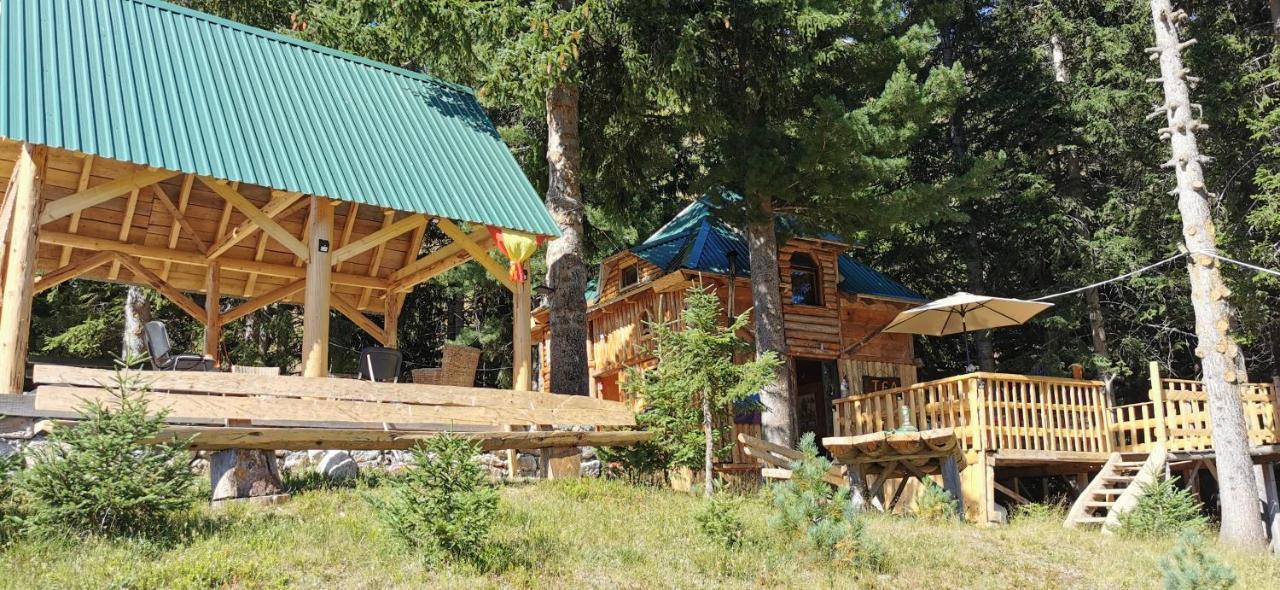 Pinetrees Lodge Πλαβ Εξωτερικό φωτογραφία