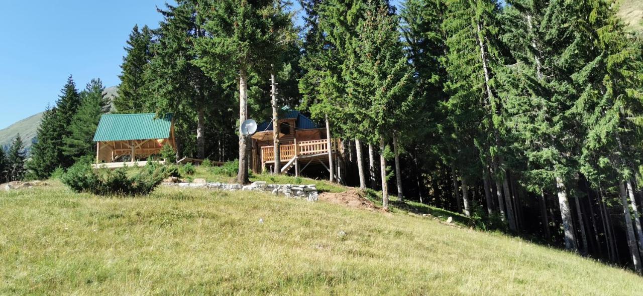 Pinetrees Lodge Πλαβ Εξωτερικό φωτογραφία