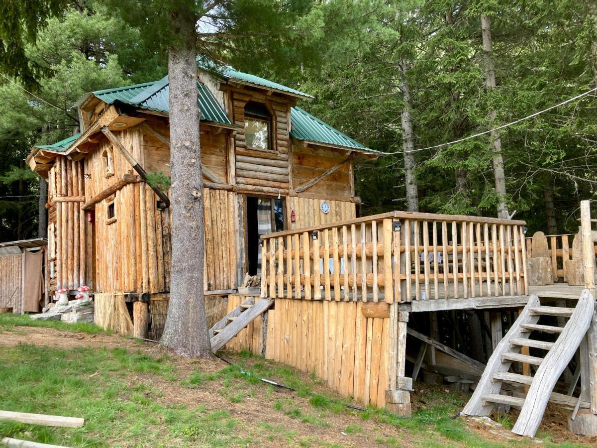 Pinetrees Lodge Πλαβ Εξωτερικό φωτογραφία