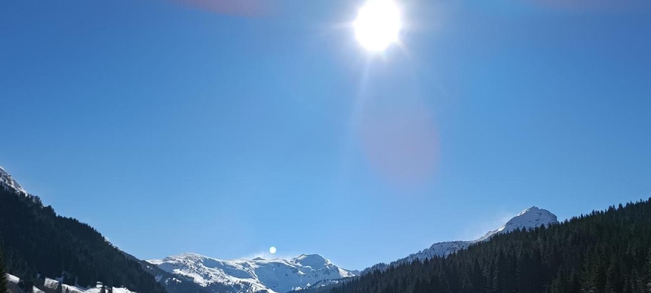Pinetrees Lodge Πλαβ Εξωτερικό φωτογραφία