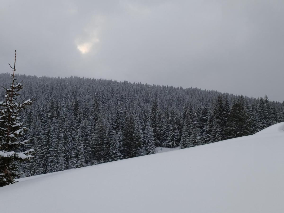 Pinetrees Lodge Πλαβ Εξωτερικό φωτογραφία