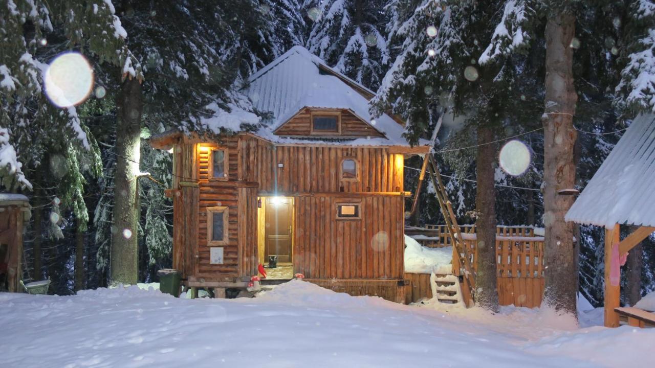 Pinetrees Lodge Πλαβ Εξωτερικό φωτογραφία