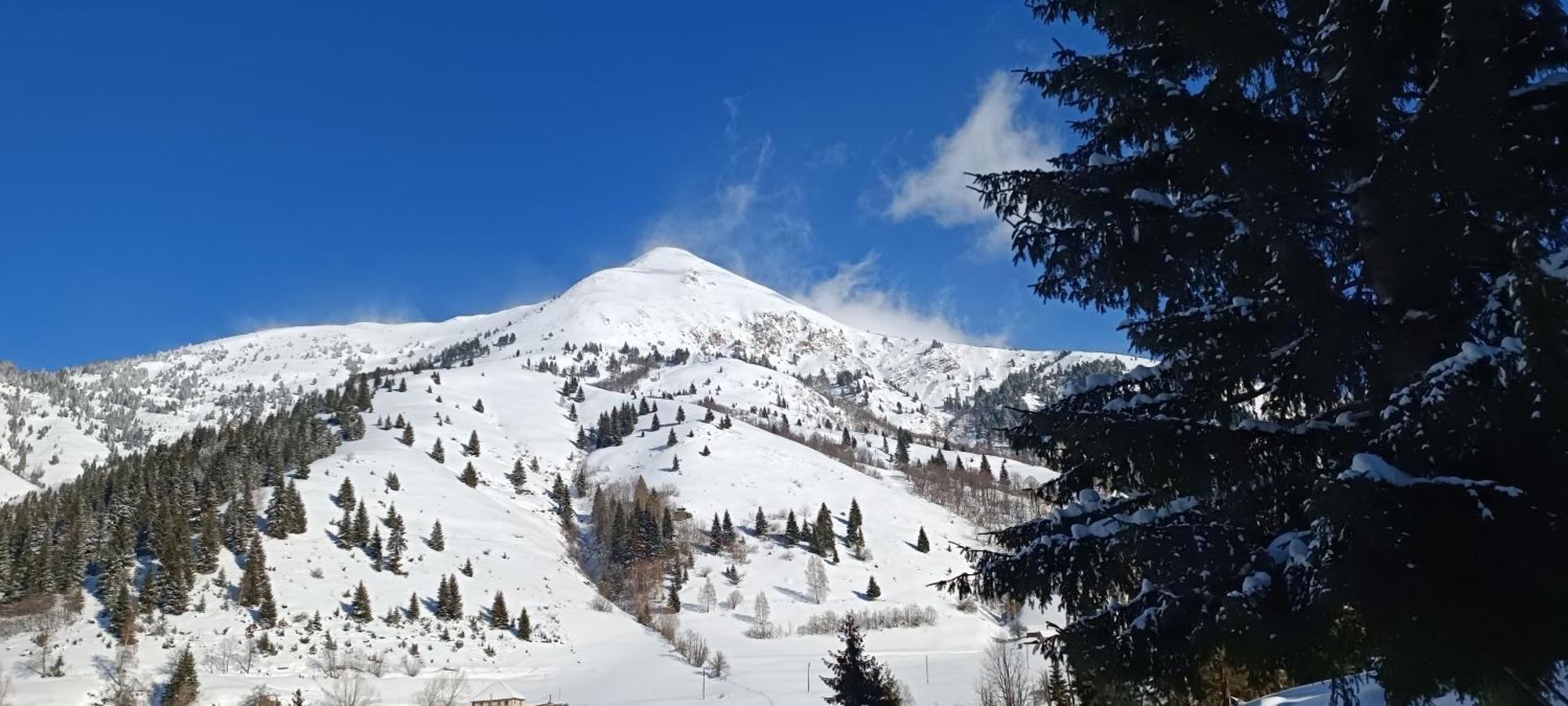 Pinetrees Lodge Πλαβ Εξωτερικό φωτογραφία