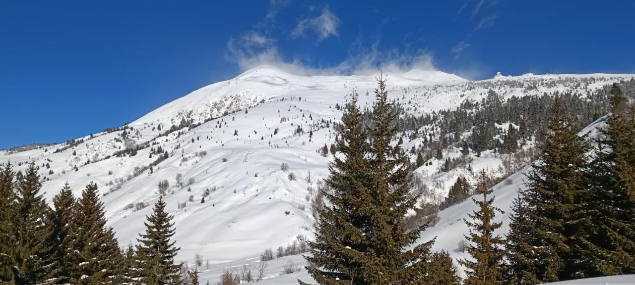 Pinetrees Lodge Πλαβ Εξωτερικό φωτογραφία