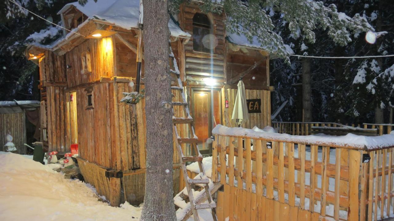 Pinetrees Lodge Πλαβ Εξωτερικό φωτογραφία