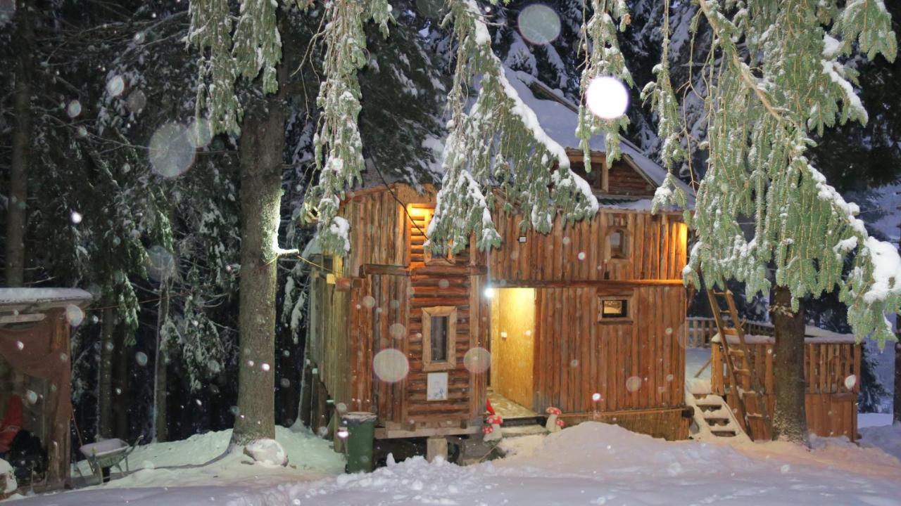 Pinetrees Lodge Πλαβ Εξωτερικό φωτογραφία