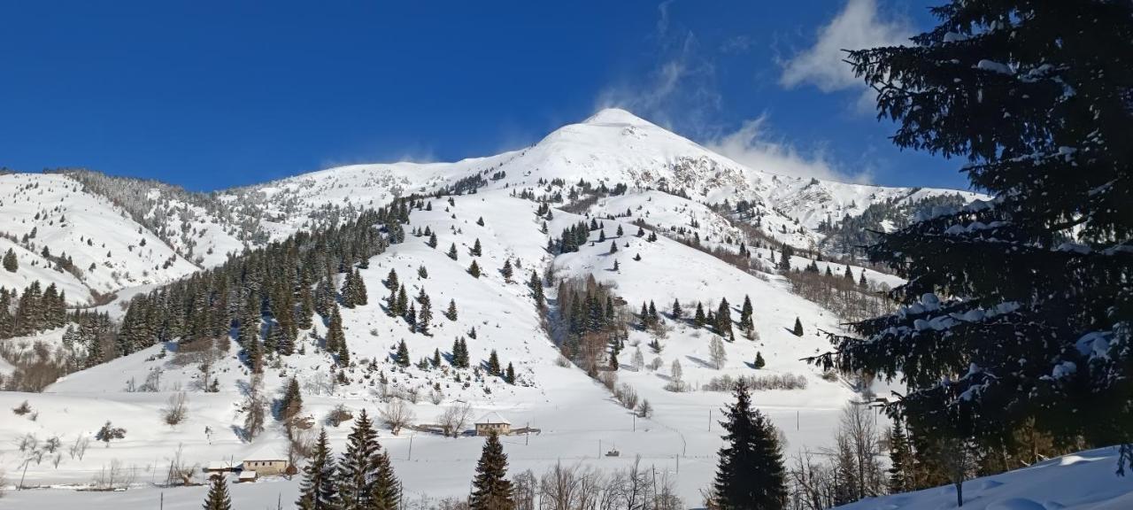 Pinetrees Lodge Πλαβ Εξωτερικό φωτογραφία