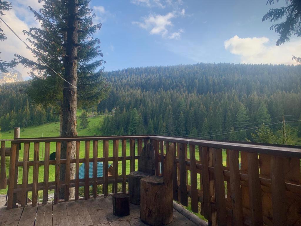 Pinetrees Lodge Πλαβ Εξωτερικό φωτογραφία