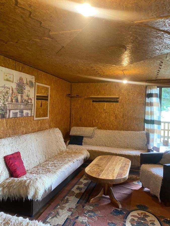 Pinetrees Lodge Πλαβ Εξωτερικό φωτογραφία