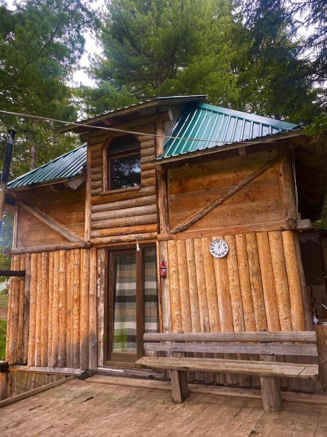 Pinetrees Lodge Πλαβ Εξωτερικό φωτογραφία