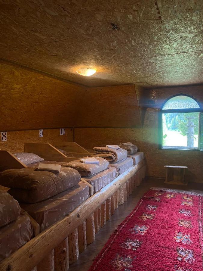 Pinetrees Lodge Πλαβ Εξωτερικό φωτογραφία