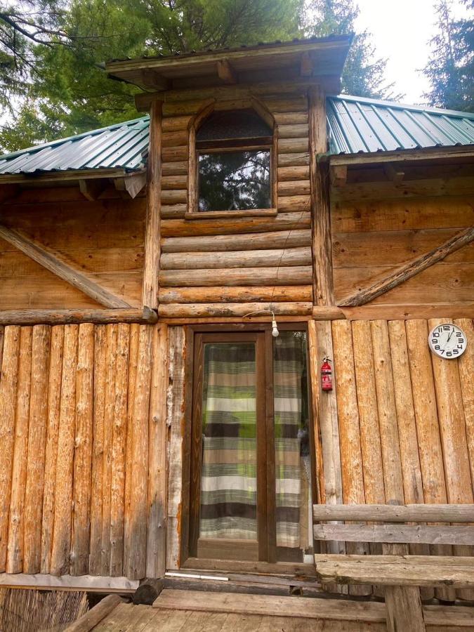 Pinetrees Lodge Πλαβ Εξωτερικό φωτογραφία