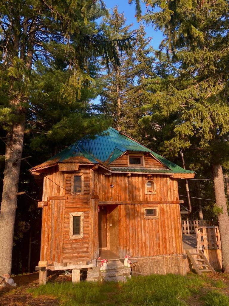 Pinetrees Lodge Πλαβ Εξωτερικό φωτογραφία